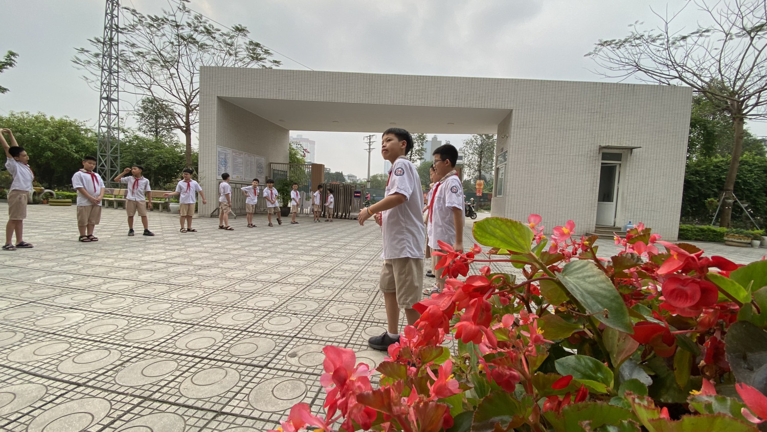 z5311425537733 d60fd78a836485ad433f5b912abb92fb